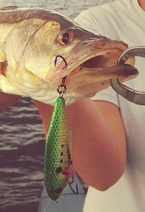 ARROWHEAD 70 - 2.7 Inches